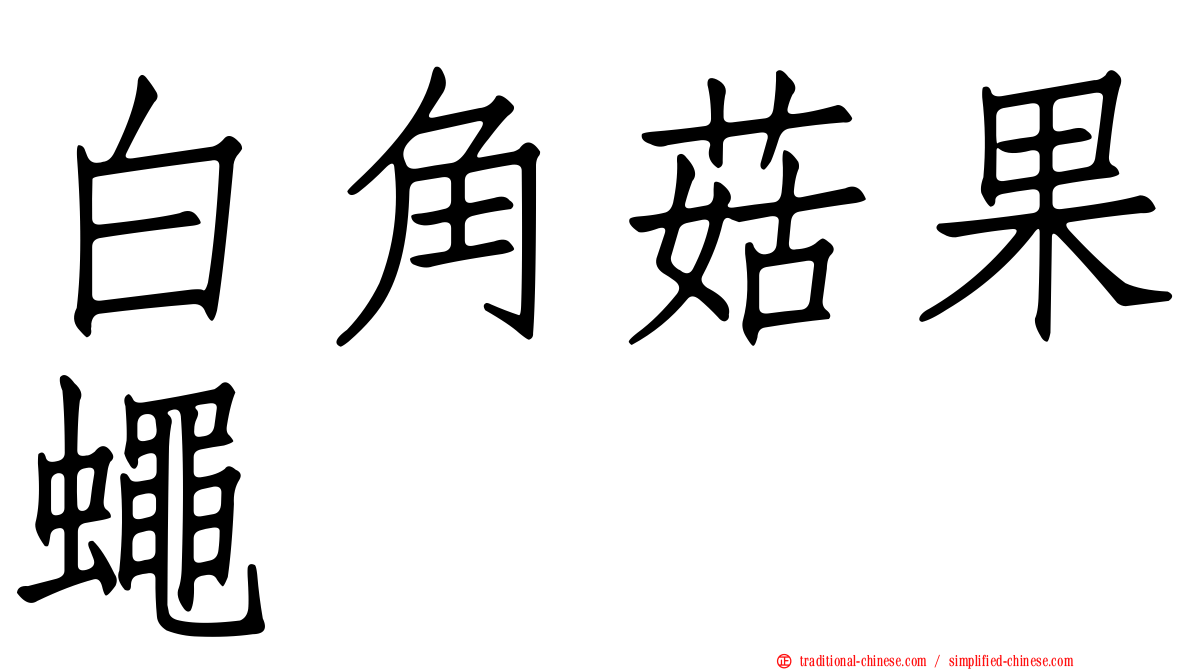 白角菇果蠅