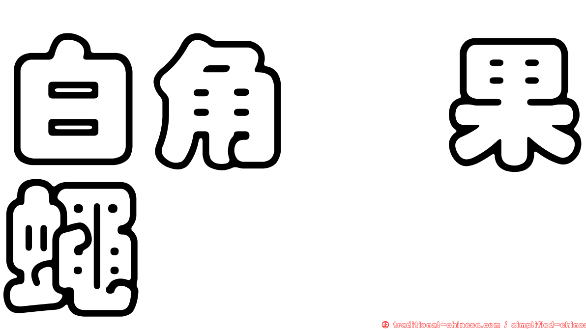 白角菇果蠅