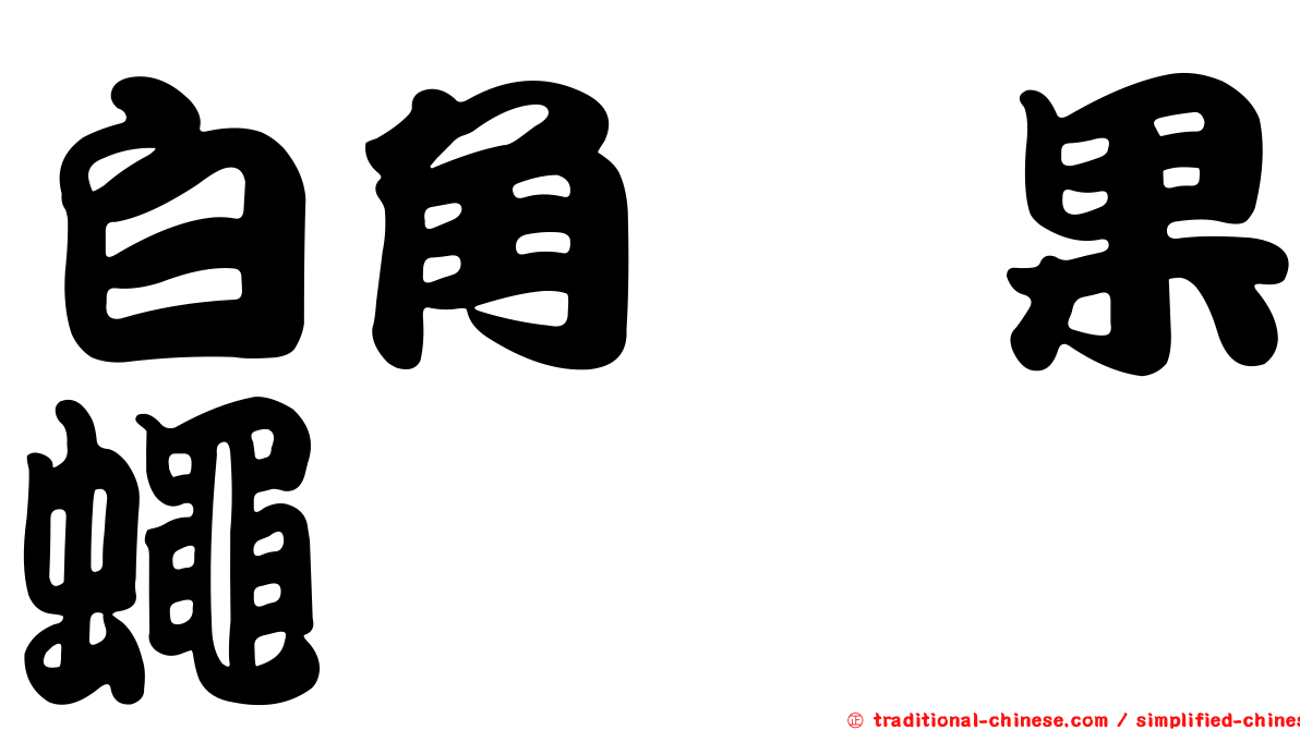 白角菇果蠅