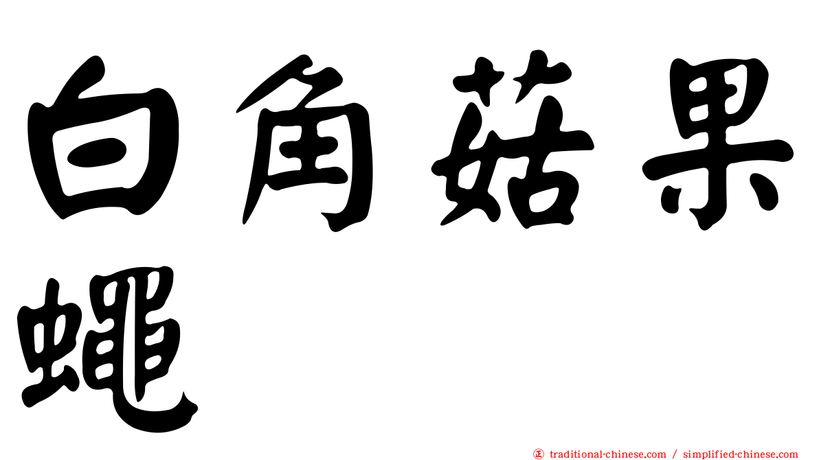 白角菇果蠅