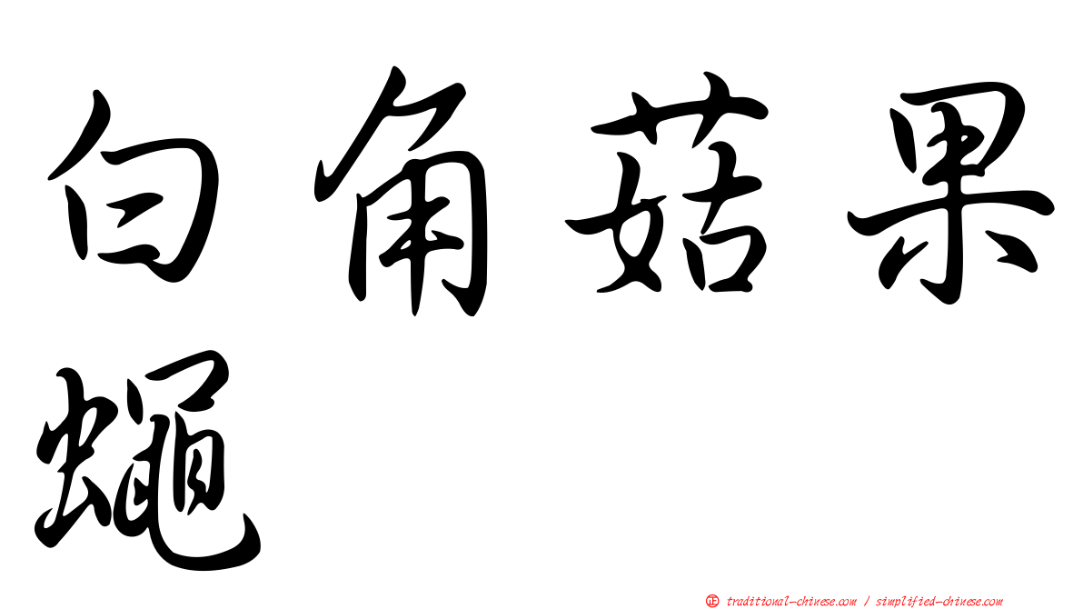 白角菇果蠅
