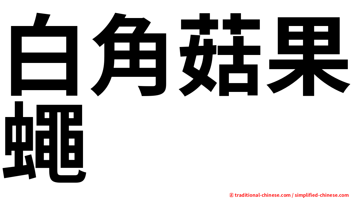 白角菇果蠅