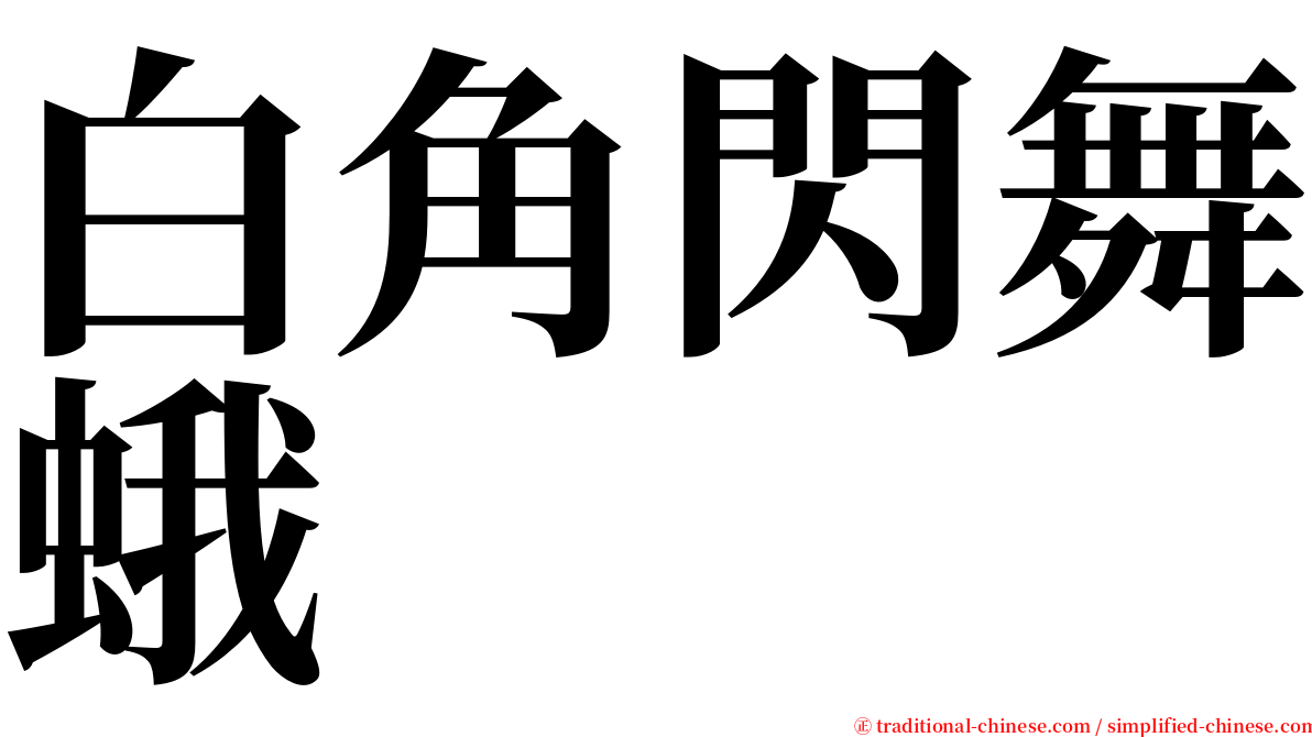 白角閃舞蛾 serif font
