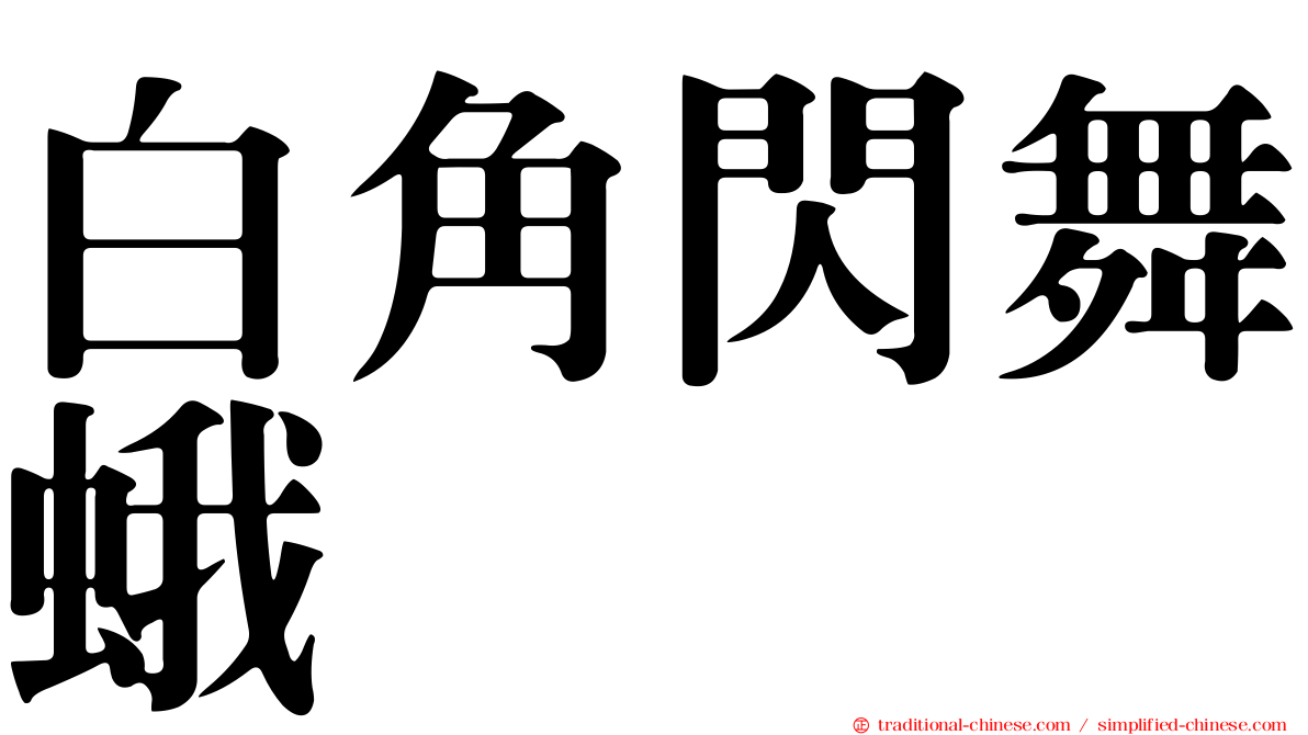 白角閃舞蛾