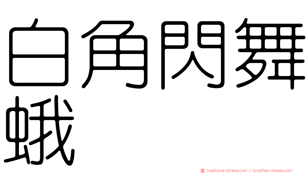 白角閃舞蛾