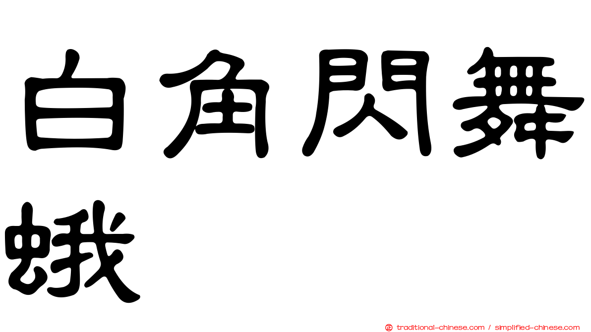 白角閃舞蛾