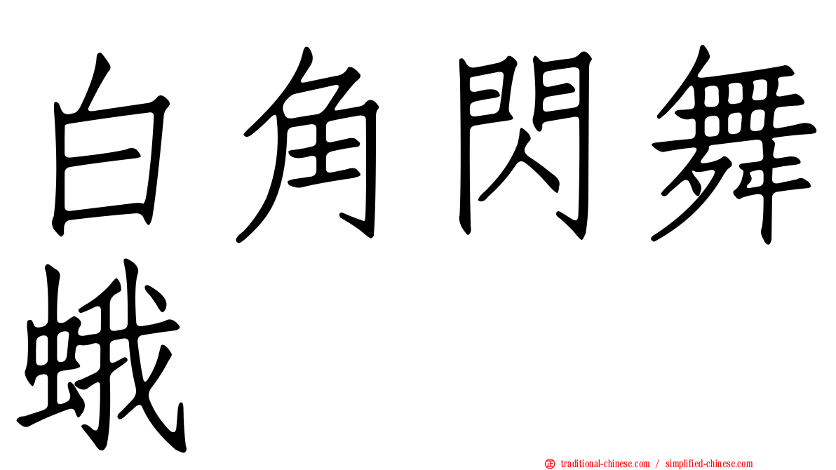 白角閃舞蛾