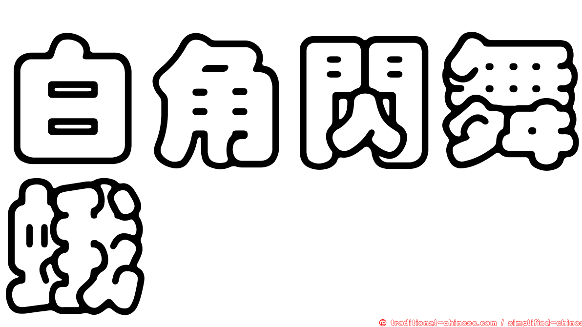 白角閃舞蛾