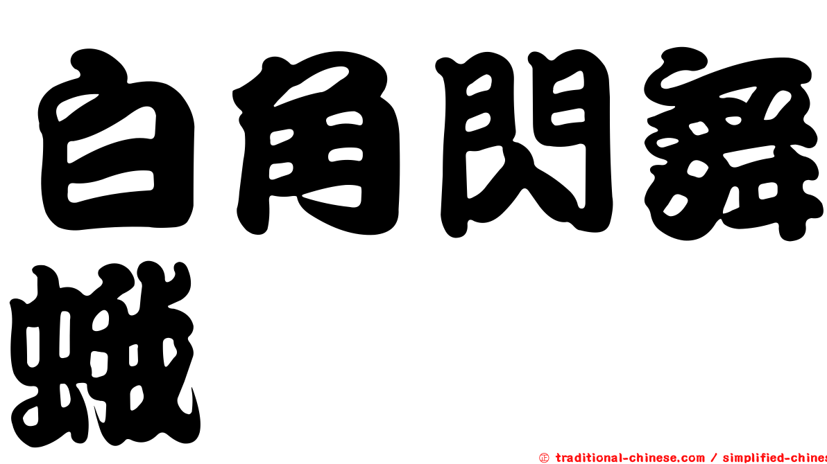 白角閃舞蛾