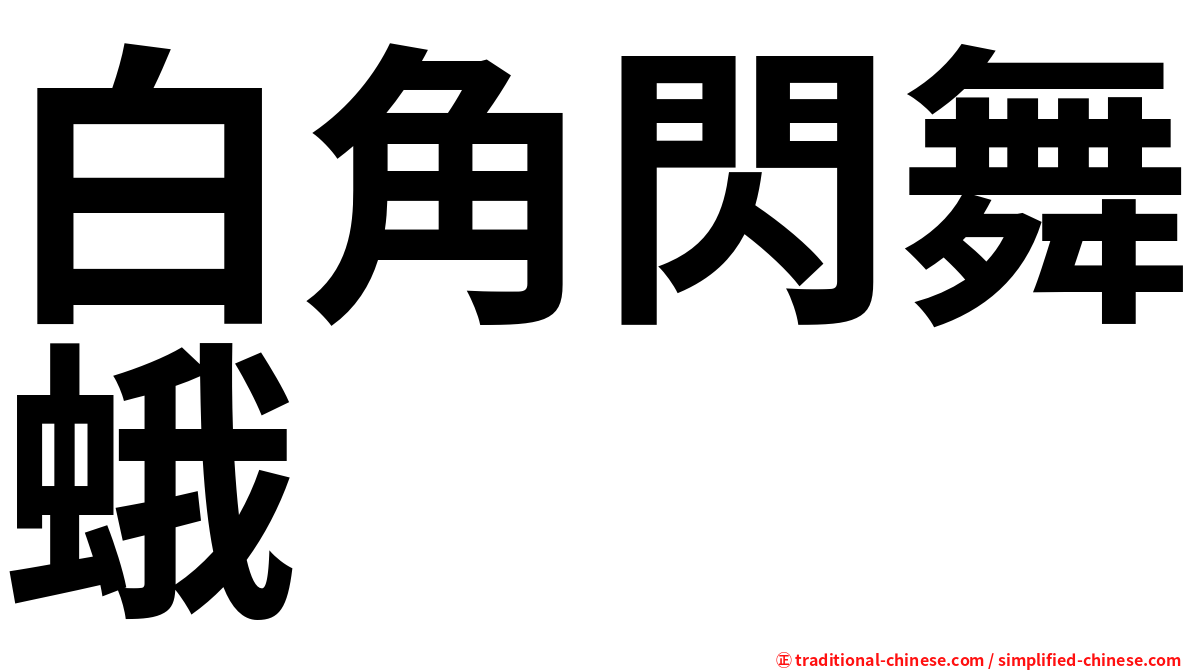 白角閃舞蛾