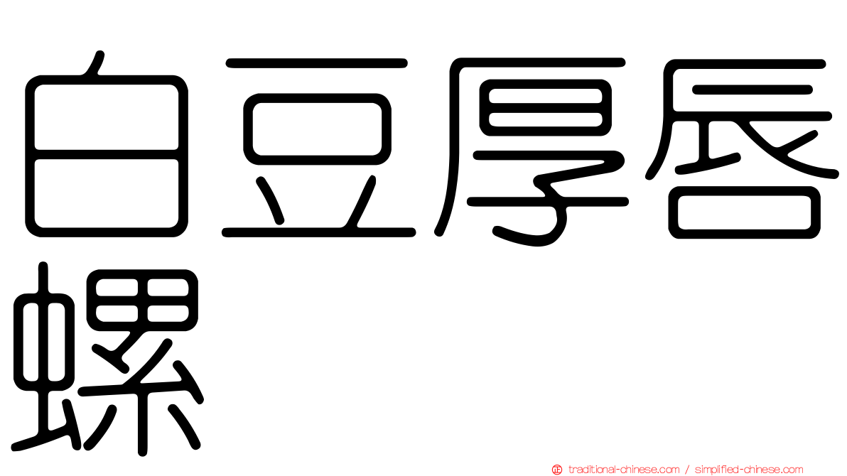白豆厚唇螺