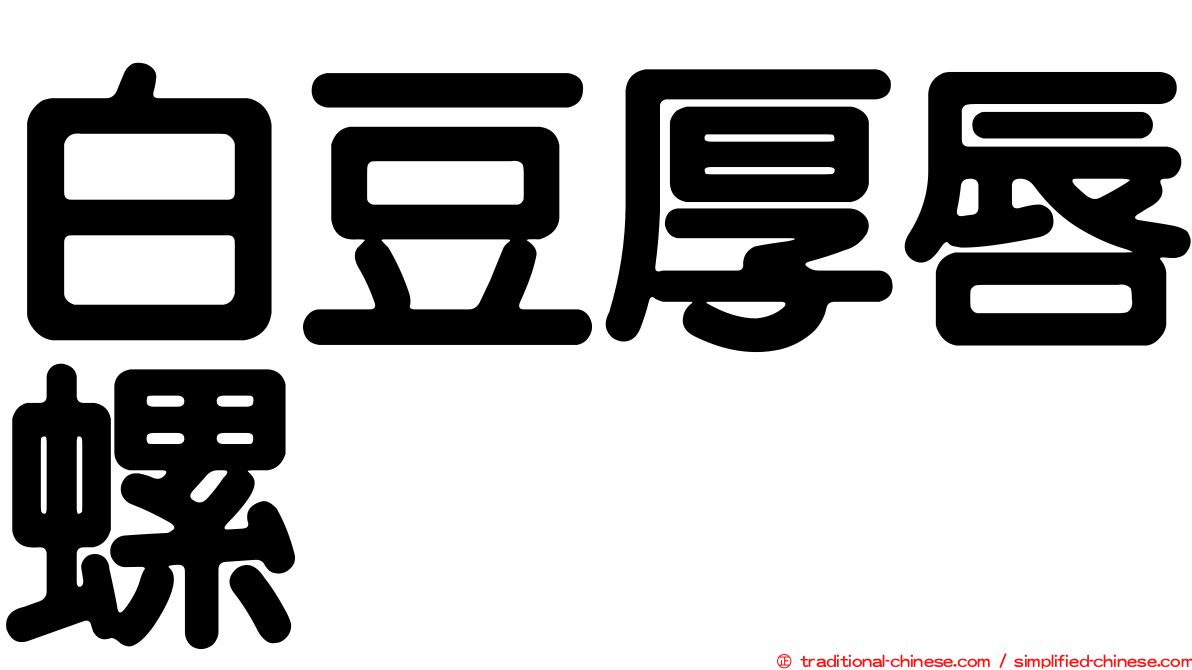 白豆厚唇螺