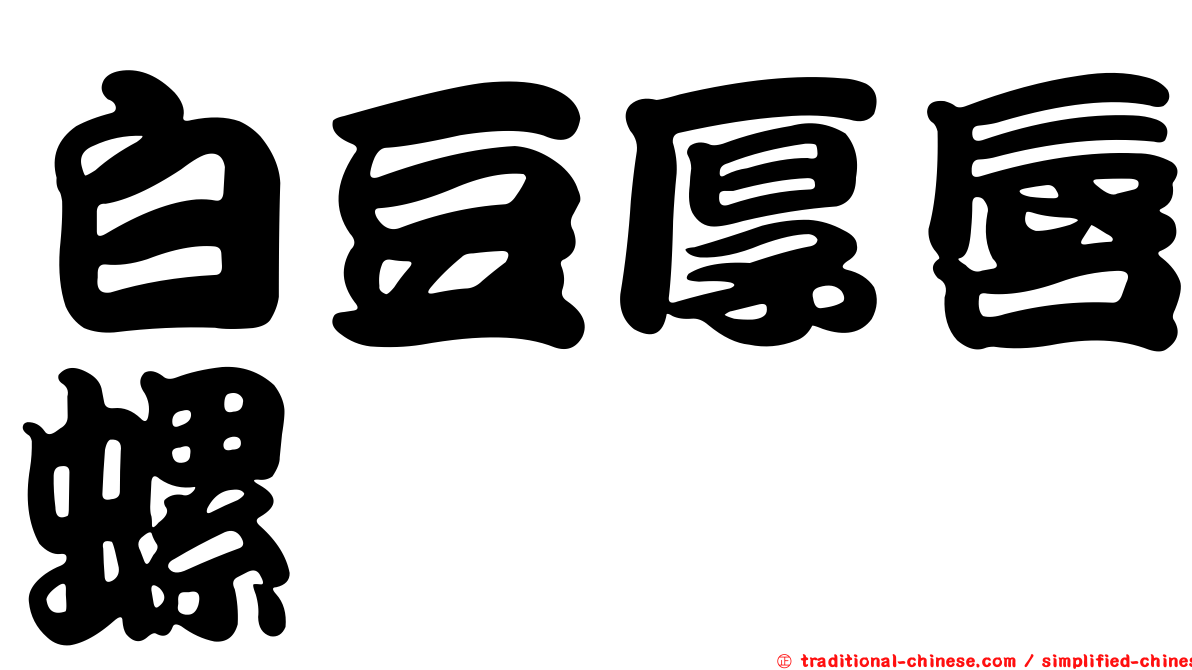 白豆厚唇螺