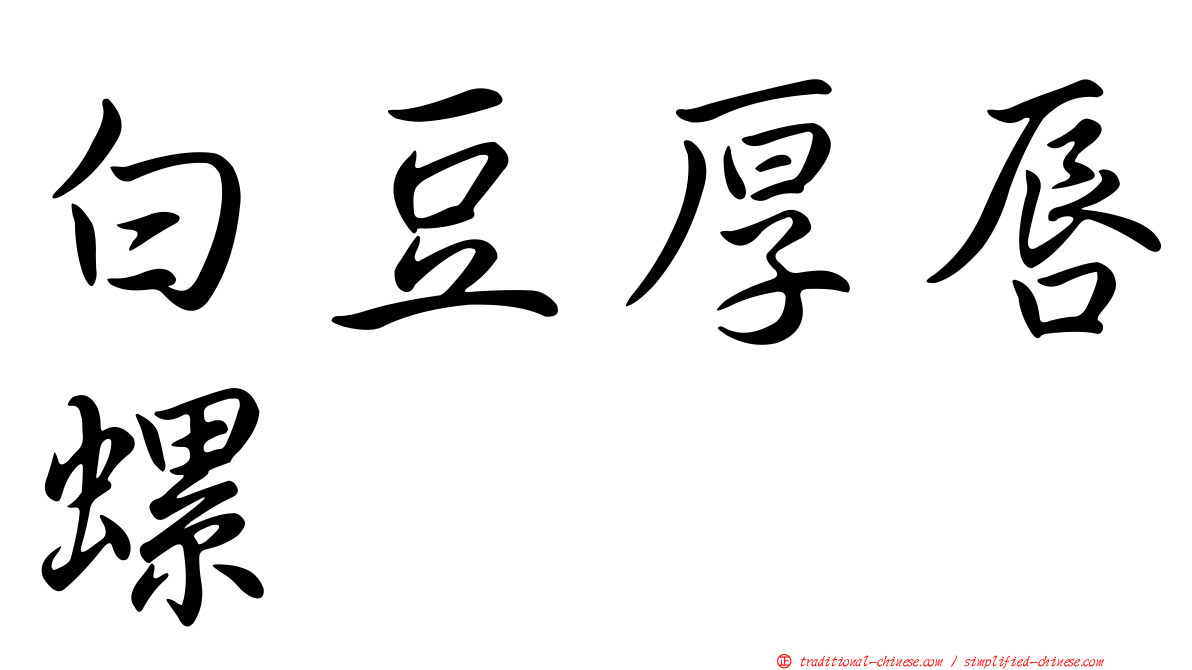 白豆厚唇螺