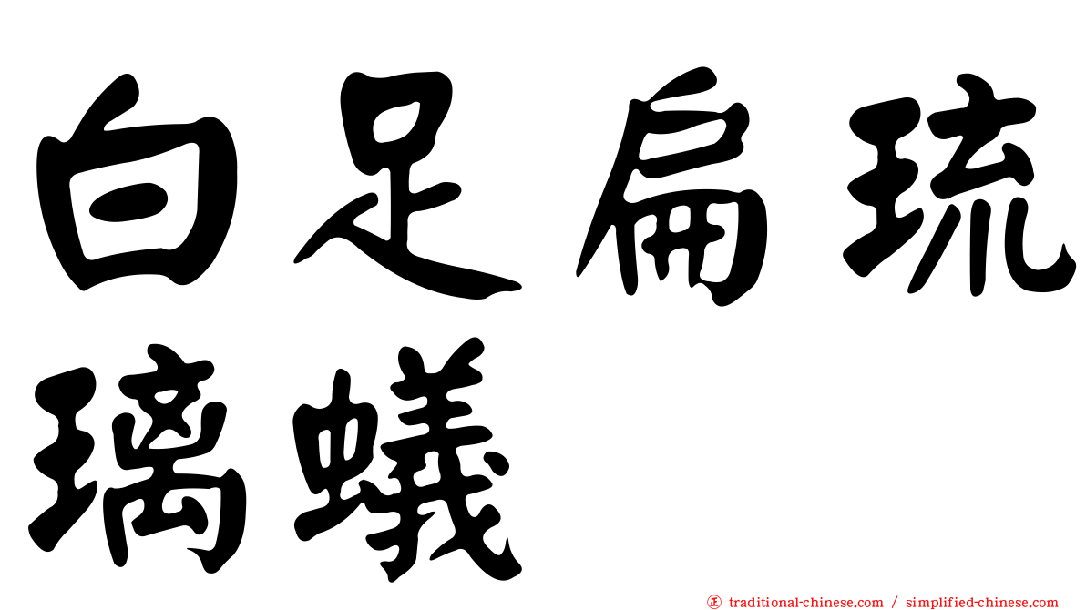白足扁琉璃蟻