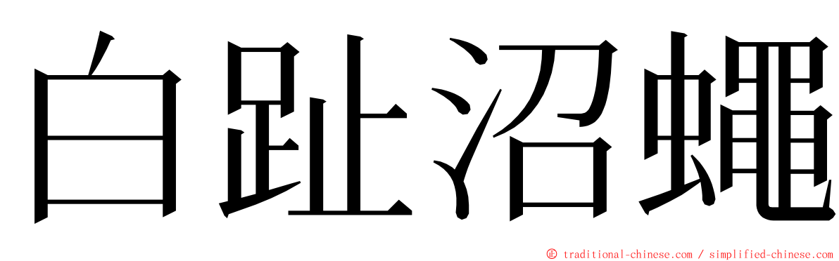 白趾沼蠅 ming font