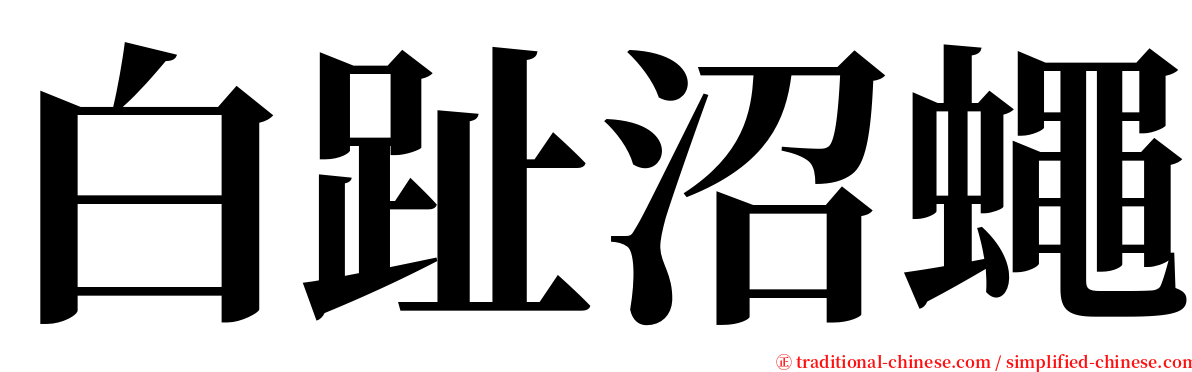 白趾沼蠅 serif font