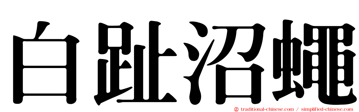 白趾沼蠅