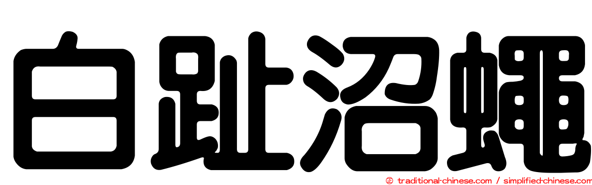 白趾沼蠅