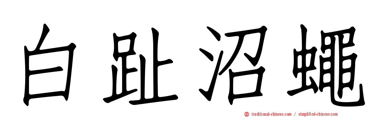 白趾沼蠅
