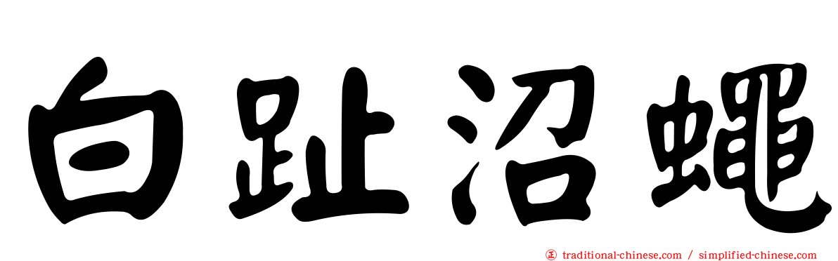 白趾沼蠅