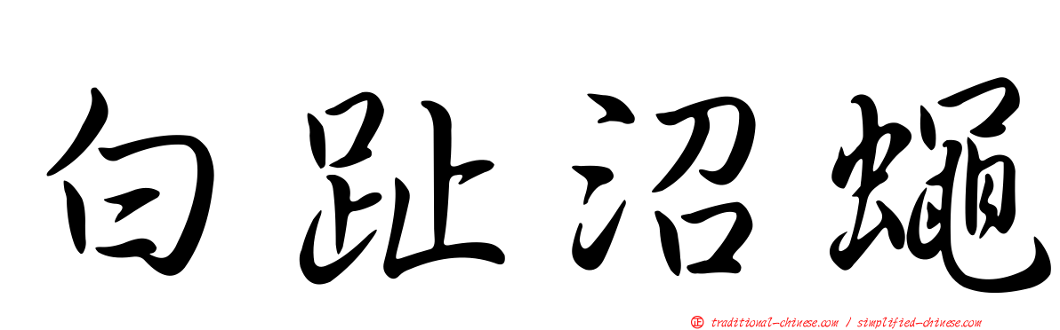 白趾沼蠅