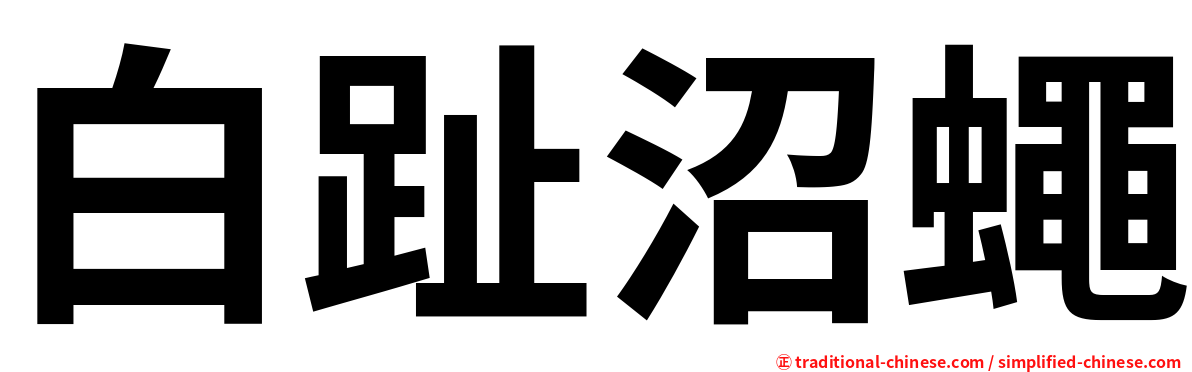 白趾沼蠅