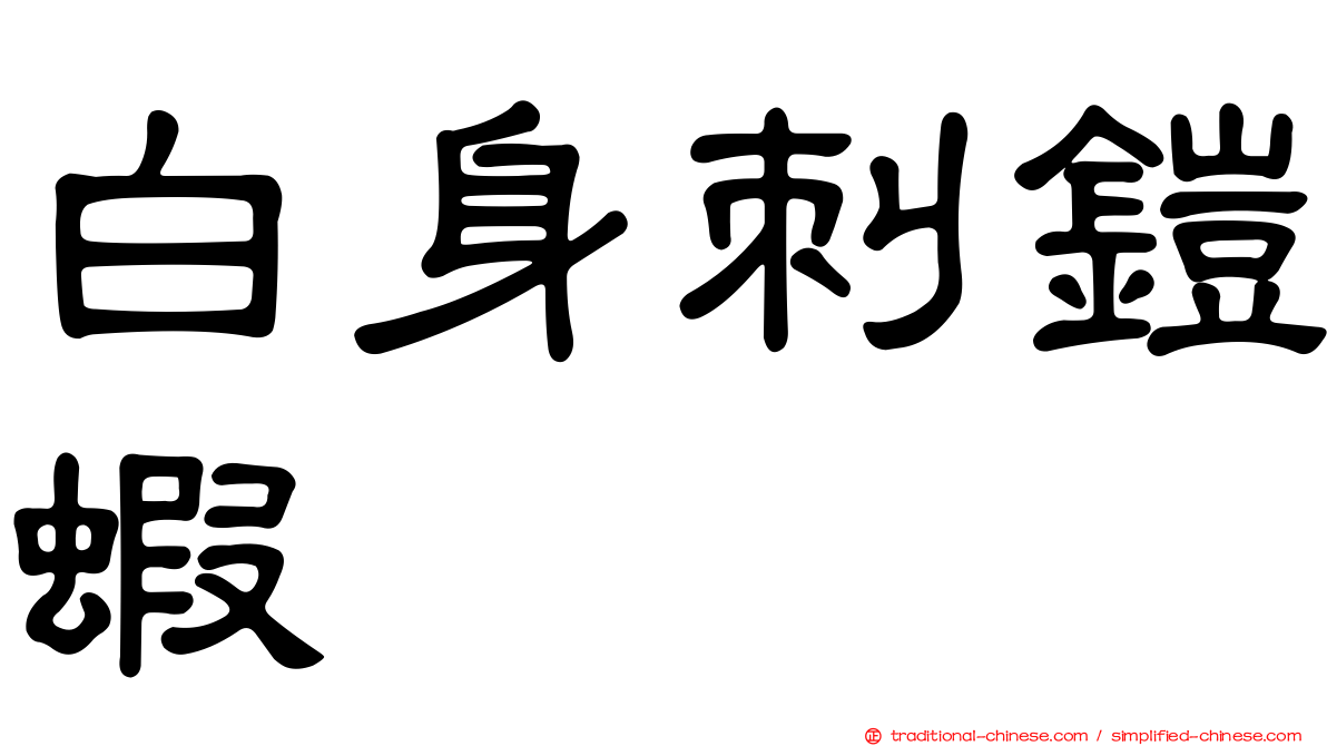 白身刺鎧蝦