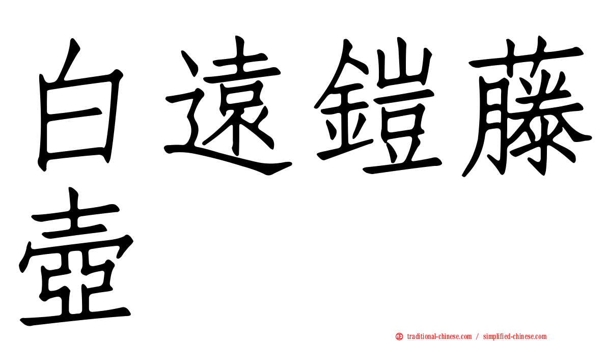 白遠鎧藤壺