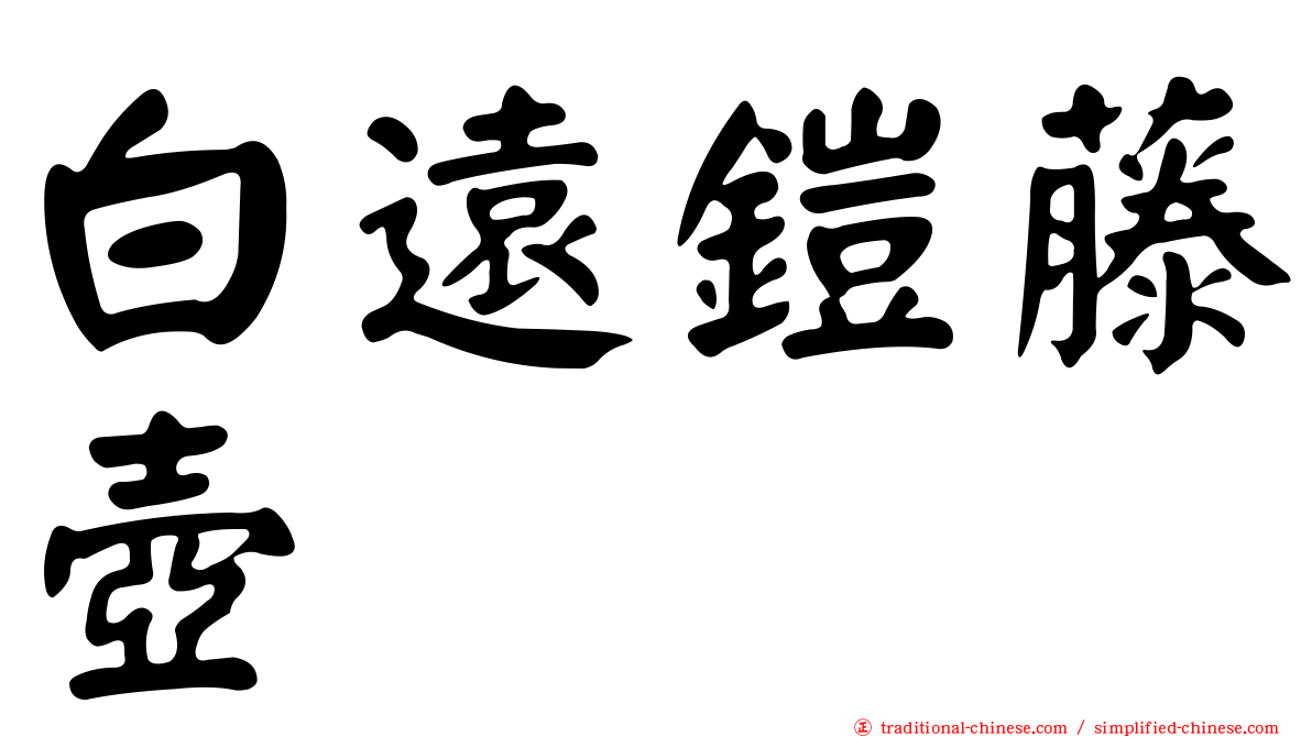 白遠鎧藤壺
