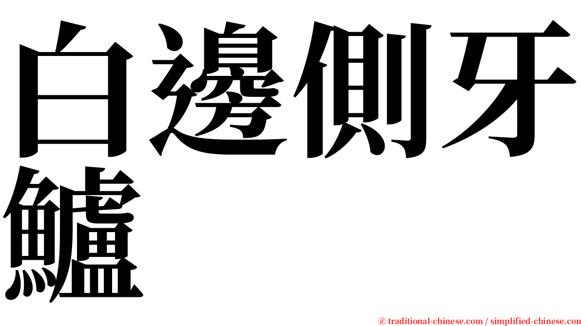 白邊側牙鱸 serif font