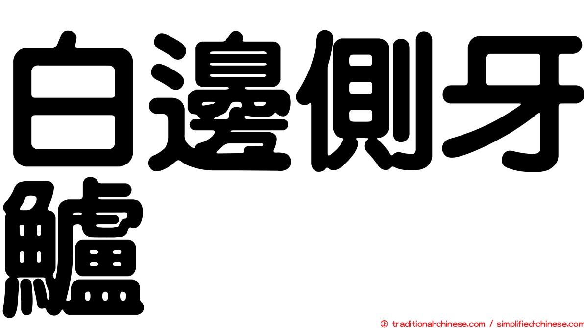 白邊側牙鱸