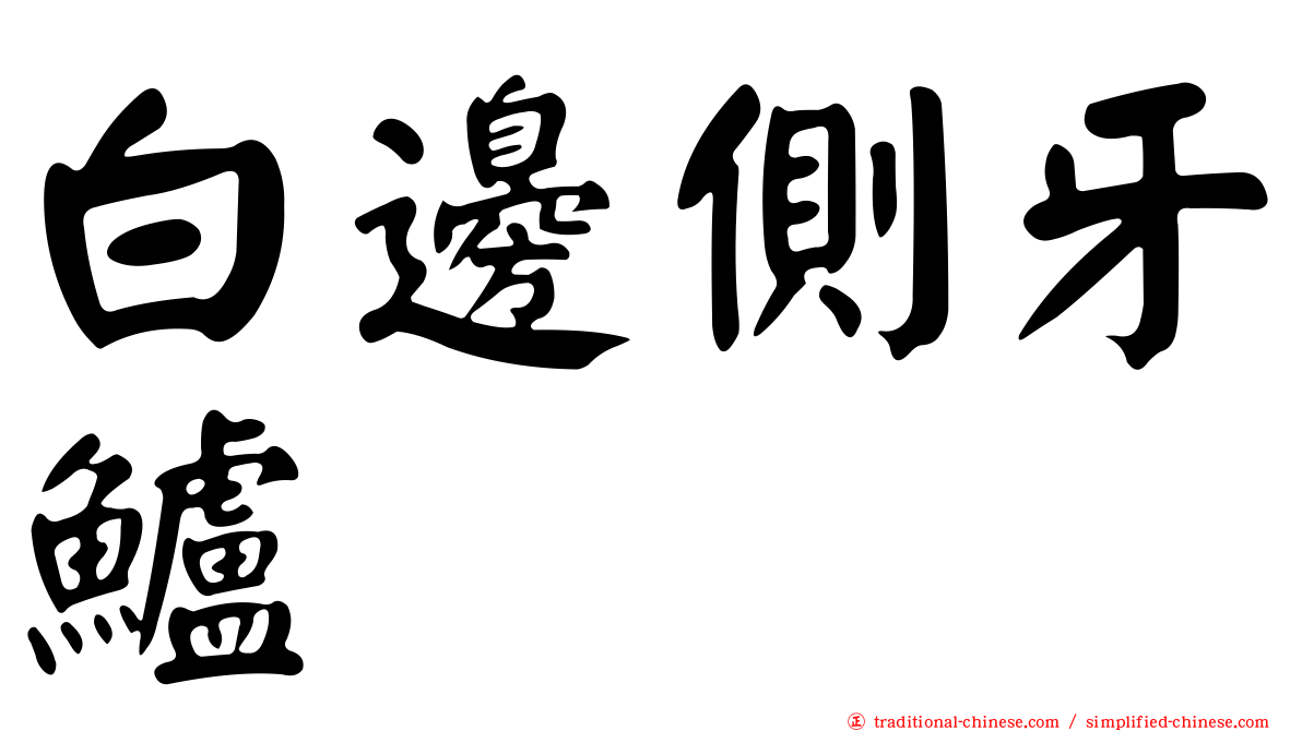 白邊側牙鱸