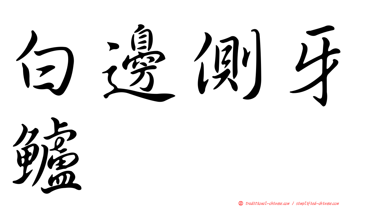 白邊側牙鱸