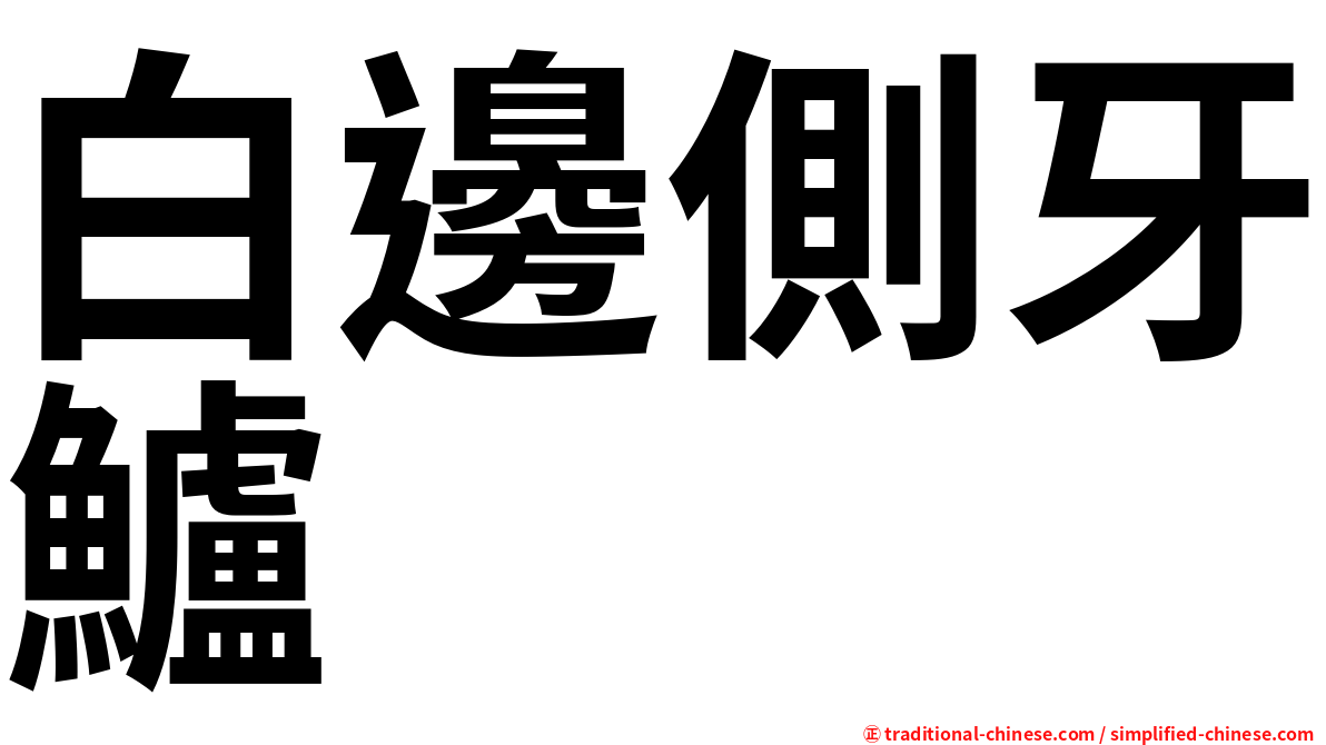 白邊側牙鱸
