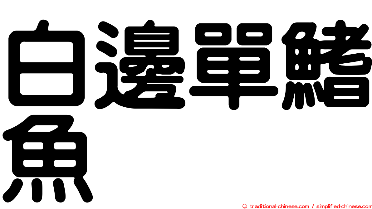 白邊單鰭魚
