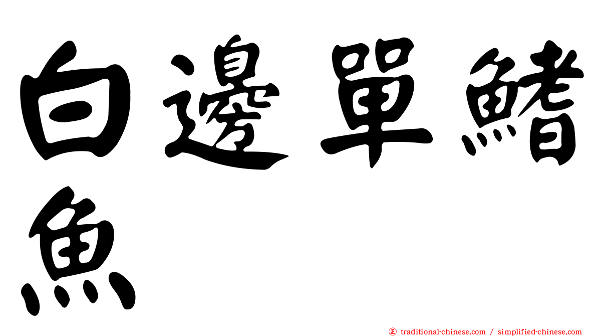 白邊單鰭魚