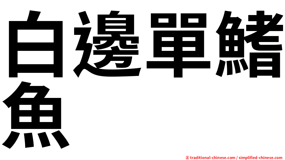 白邊單鰭魚