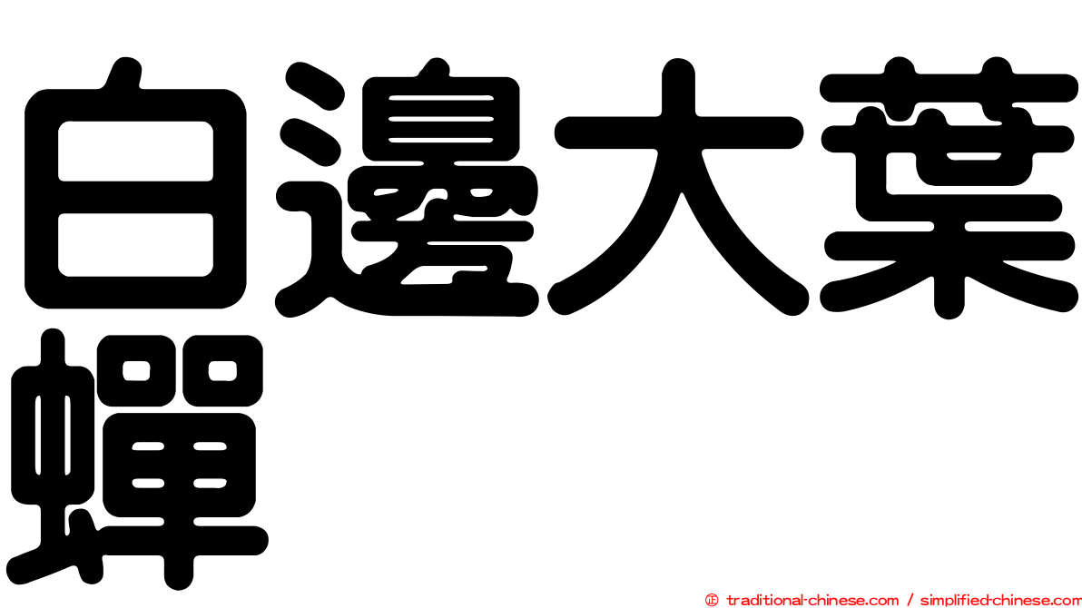 白邊大葉蟬