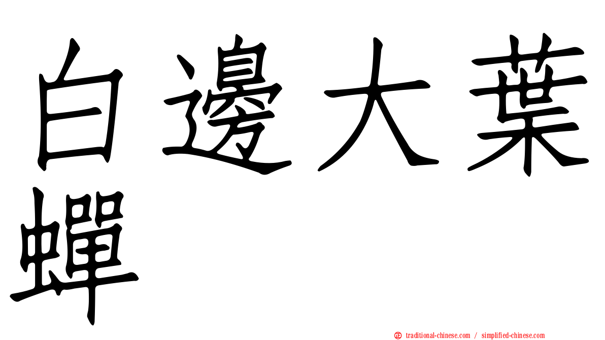 白邊大葉蟬