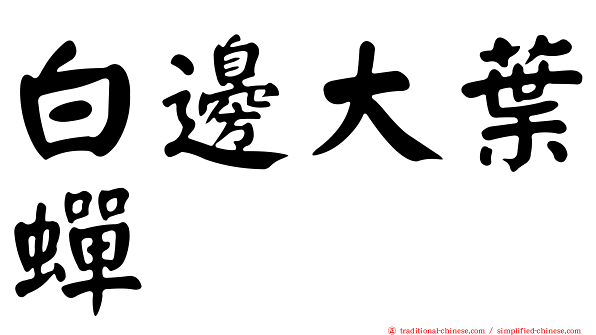 白邊大葉蟬