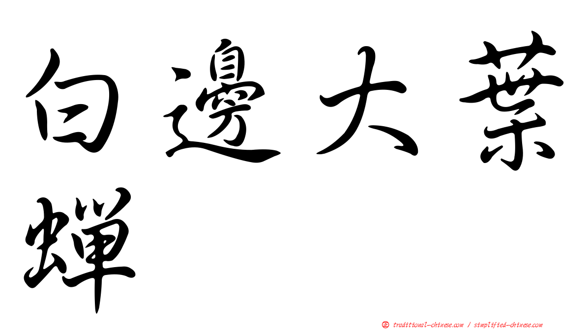 白邊大葉蟬
