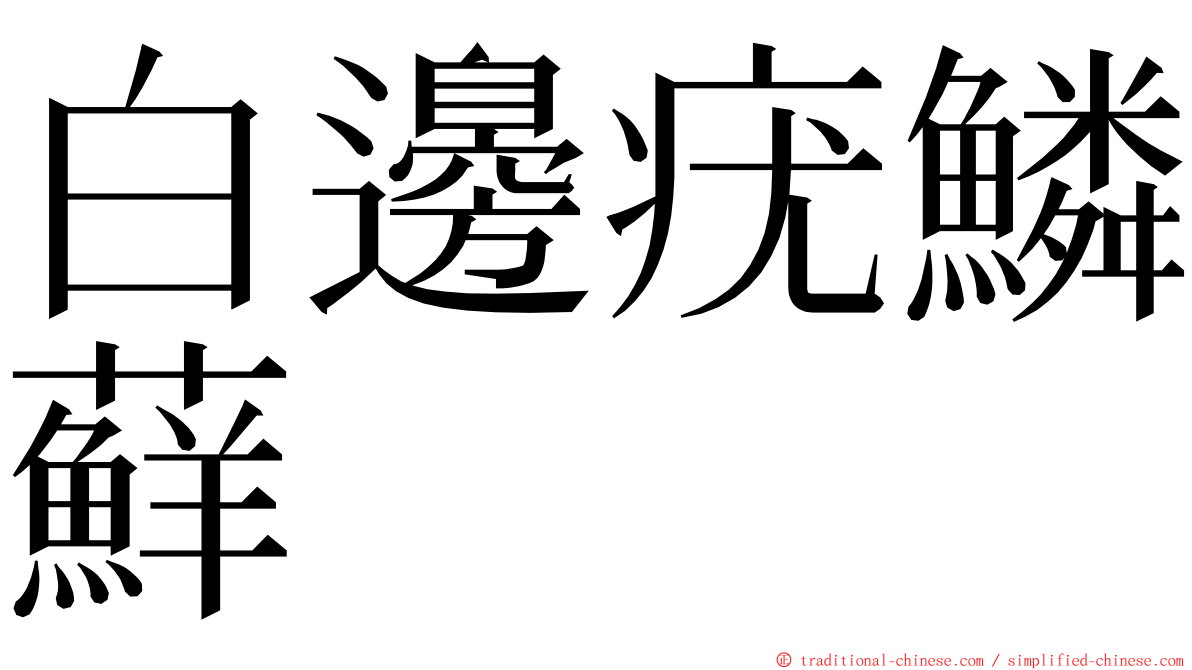 白邊疣鱗蘚 ming font