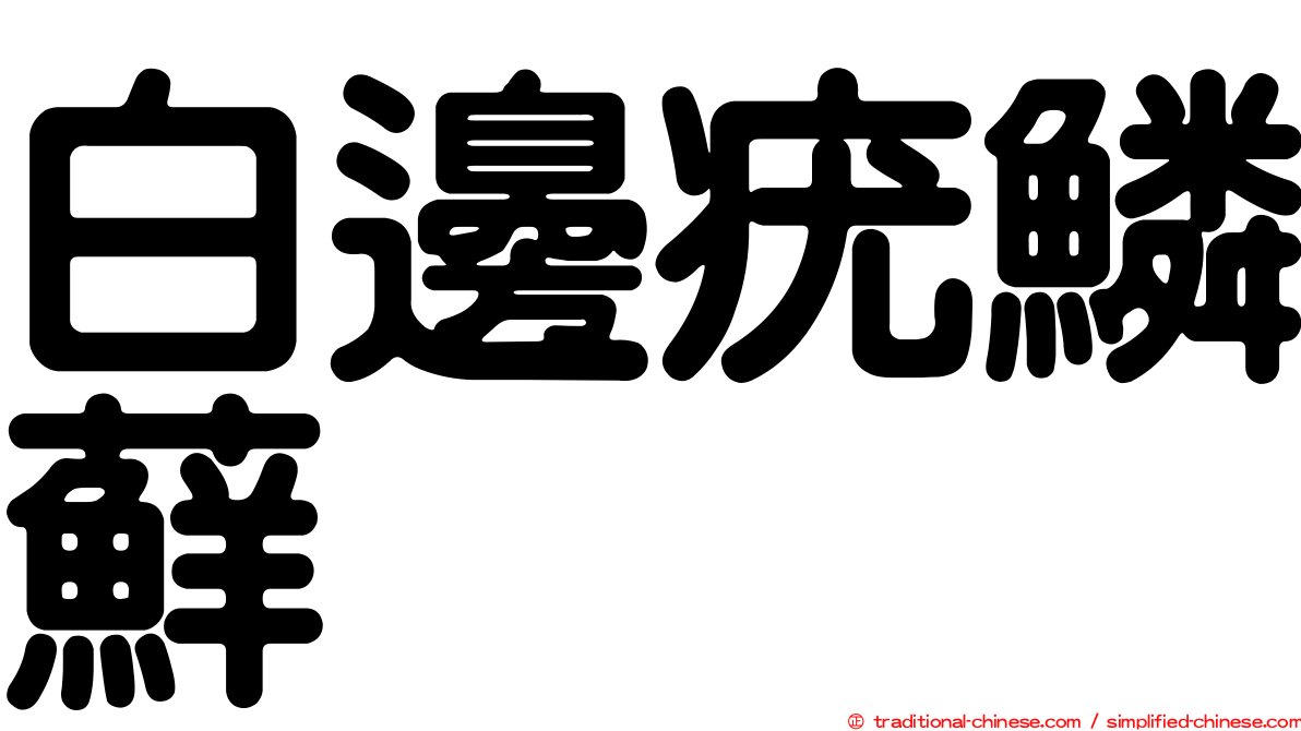 白邊疣鱗蘚