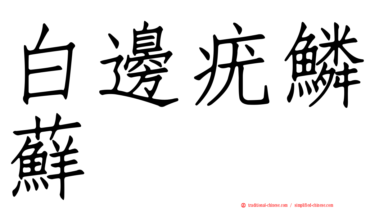 白邊疣鱗蘚
