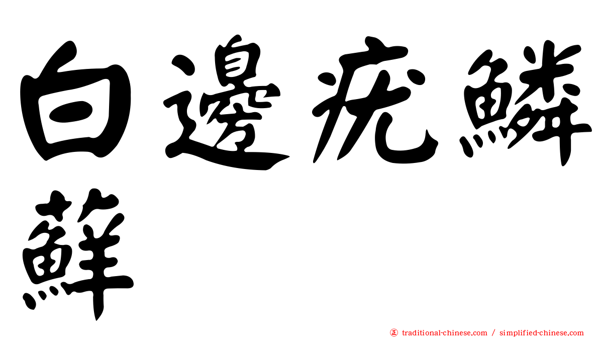 白邊疣鱗蘚