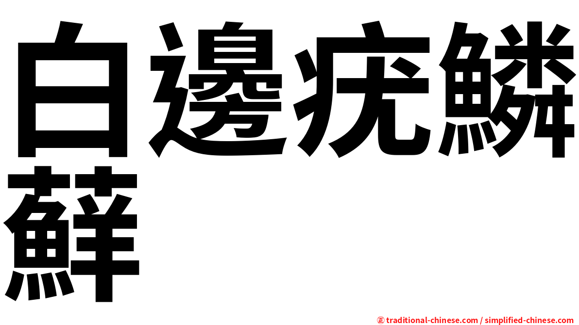 白邊疣鱗蘚
