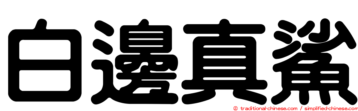 白邊真鯊