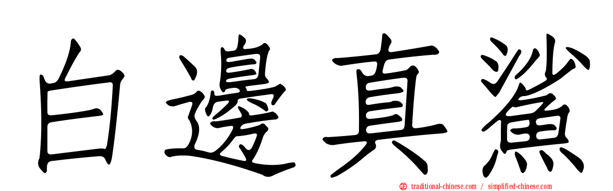 白邊真鯊