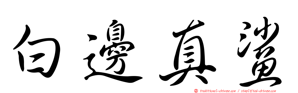 白邊真鯊